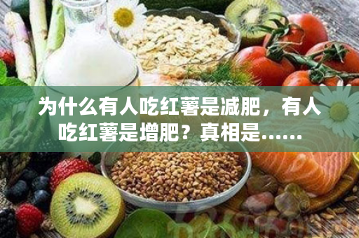 为什么有人吃红薯是减肥，有人吃红薯是增肥？真相是……