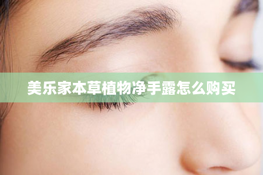 美乐家本草植物净手露怎么购买