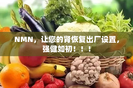 NMN，让您的肾恢复出厂设置，强健如初！！！