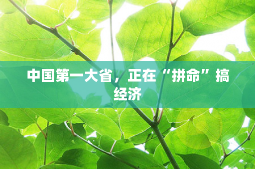 中国第一大省，正在“拼命”搞经济