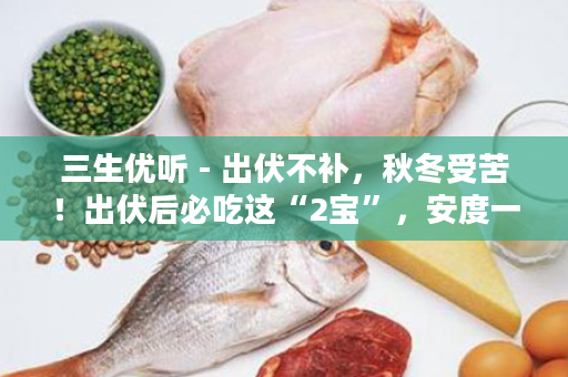 三生优听 - 出伏不补，秋冬受苦！出伏后必吃这“2宝”，安度一整秋