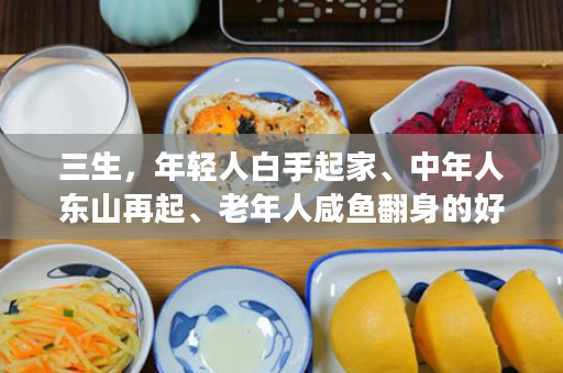 三生，年轻人白手起家、中年人东山再起、老年人咸鱼翻身的好平台，你还在等什么，赶紧加入吧！