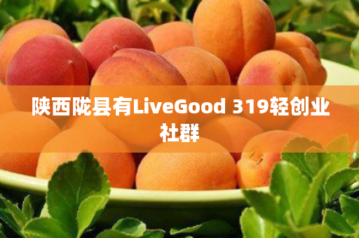 陕西陇县有LiveGood 319轻创业社群