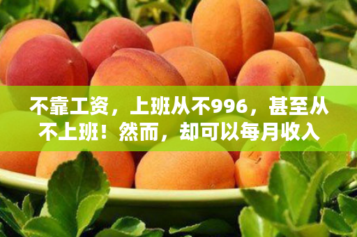 不靠工资，上班从不996，甚至从不上班！然而，却可以每月收入上万的人都在做些什么？