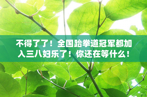 不得了了！全国跆拳道冠军都加入三八妇乐了！你还在等什么！