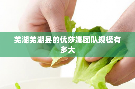芜湖芜湖县的优莎娜团队规模有多大