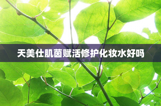 天美仕肌茵赋活修护化妆水好吗
