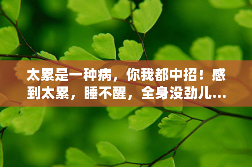 太累是一种病，你我都中招！感到太累，睡不醒，全身没劲儿...你该补充AMPM日夜修复了！