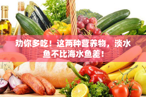 劝你多吃！这两种营养物，淡水鱼不比海水鱼差！