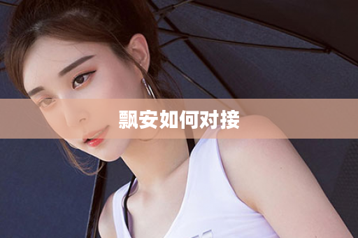 飘安如何对接
