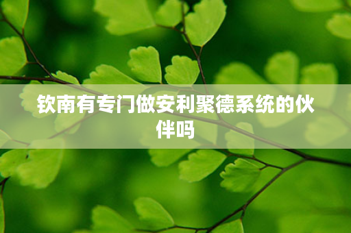 钦南有专门做安利聚德系统的伙伴吗