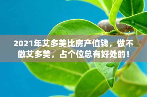 2021年艾多美比房产值钱，做不做艾多美，占个位总有好处的！